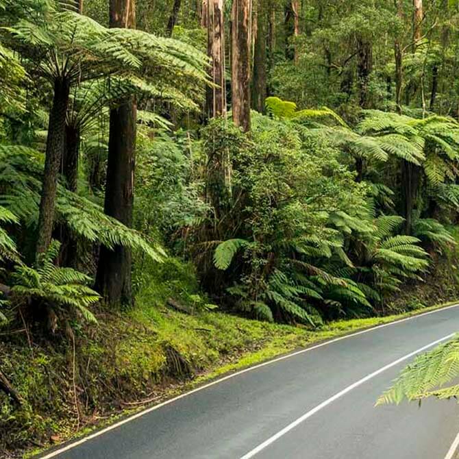 Healesville Garden Retreat Accommodation – Yarra Valley
